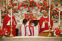 Clicca per ingrandire