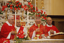 Clicca per ingrandire