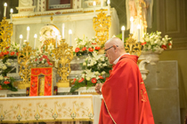Clicca per ingrandire