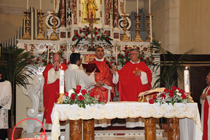 Clicca per ingrandire